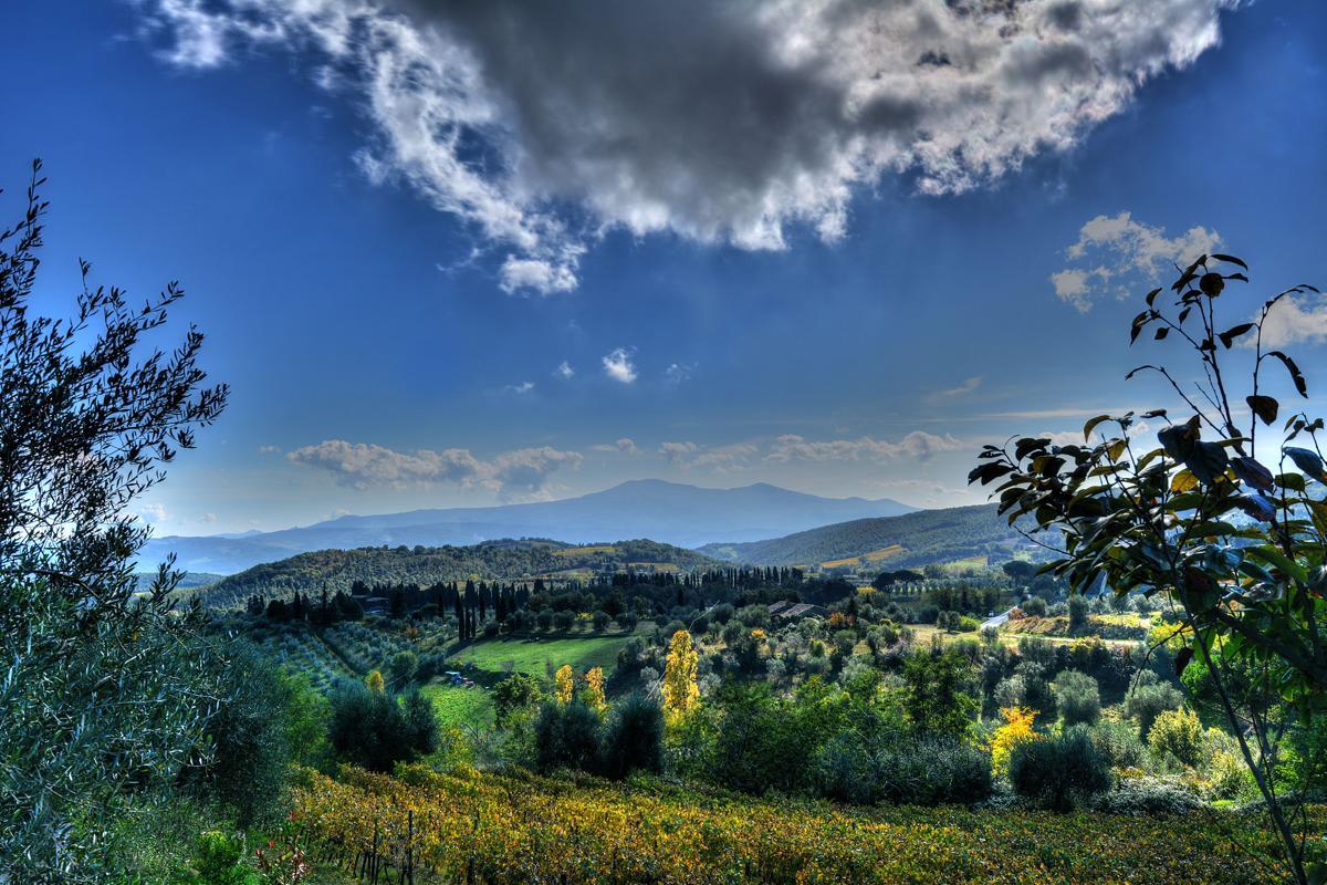 Agriturismo Fraschetta มอนตาลชิโน ภายนอก รูปภาพ